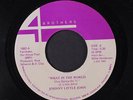 JOHNNY LITTLE JOHN: What In The World / Tanglewood Blues 45 Blues & R&B
