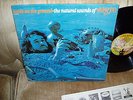 1967 Airto - Seeds On The Ground LP - Buddah NEAR MINT COPY....AWESOME