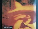 Slowdive  -  Just For The Day