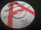 THE SUNRAYS---ANDREA---SUPERB DEMO---(BEACH BOYS RELATED)