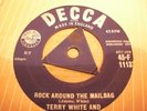 Rare British Rock n Roll  Terry White & Terriers 