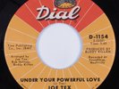 70s Soul 45 JOE TEX Under Your Powerful Love DIAL HEAR