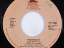 Funk 45 FOSTER SYLVERS Misdemeanor PRIDE HEAR