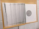 BEACH FOSSILS S/T LP — LTD ED 012/600 CLEAR VINYL SILKSCREEN CVR RARE NM/EX DIIV