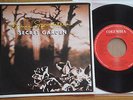 BRUCE SPRINGSTEEN - SECRET GARDEN - HOLLAND RARE 7
