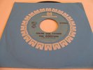 THE WINSTONS - COLOR HIM FATHER / AMEN, BROTHER - METROMEDIA