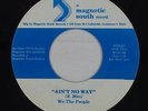 Modern Soul 45 - We The People - Ain't No Way - Magnetic South - VG++ mp3