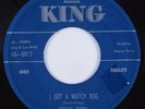 R&B Soul Blues 45 DOSSIE TERRY I Got A Watch Dog KING HEAR