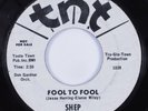 Northern Soul 45 SHEP Fool To Fool TNT promo HEAR