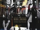 DIXIE CHICKS TAKING THE LONG WAY 2 LP VINYL BRAND NEW 33RPM
