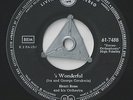 HENRI RENE & HIS ORCH. 'S Wonderful / Blue Room German 7