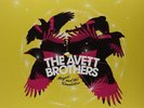 Avett Brothers - Magpie And The Dandelion 2LP Vinyl Record