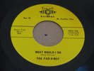 RARE OHIO GARAGE PSYCH 45 - THE FAR A WAY - WHAT WOULD I DO - JEWEL