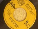 Beach Boys Free Giveaway Salt Lake City Promotional 45 Original Promo Very Rare