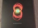Pearl Jam Binaural (Vinyl, OOP, Original USA Pressing)