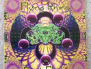 Various - First Flight 1996 (Flying Rhino, Goa Trance)