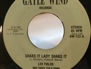 Rare Modern Soul Boogie 45 Lee Fields and Force Field Band Shake on Gayle Wind
