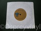 The Regents See You Later 1 sided Acetate Rare Punk Rarity