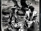 The White Stripes: Icky Thump (2-LPs-180GV)