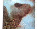 PINK FLOYD - MEDDLE - ORIGINAL AUSSIE 1971 LP