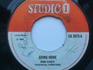 BOB ANDY - Going Home / SOUND DIMENSION - Straight Flush - STUDIO ONE '68  UK 7