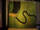 Dead Can Dance - The Serpents Egg - Vinyl - Roughtrade