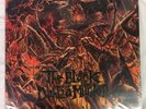 The Black Dahlia Murder Abysmal 12