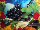 LIGABUE  LP LAMBRUSCO COLTELLI ROSE & POP CORN ITALY 1991 ITALIAN ROCK