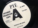 45 JAN PANTER - Scratch my Back  UK PYE  Mod Fuzz 60s Beat Mover   M -