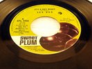 SEA DOG - It's A Hot Night / Ain't No Use - 1973 VG+++ CANADA PRESSING 45