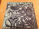 Econochrist Ruination LP With Insert Very Small 1990 Born Against Los Crudos MDC