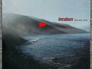 INCUBUS - MORNING VIEW VINYL LP SEALED ORIG 2001 PRESS RARE