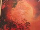 Night Moves Coloured Colored Emotions Black Vinyl LP Domino