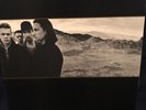 U2 The Joshua Tree 12