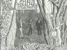 Red Chair Fadeaway Curiouser And Curiouser NEAR MINT Tangerine Vinyl LP