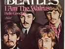 The Beatles HELLO GOODBYE USA picture sleeve only. M-