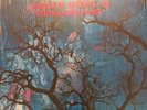 Amon Duul II 2 Phallus Dei Vinyl LP Can Krautrock Prog Rock