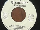 RARE Modern Soul 45 - Ron Holmes You Are The Girl/Driftwood Private Label EX