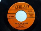 the CHARTS 45 You're The Reason / I've Been Wondering EVERLAST Doowop  e1329