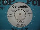 TERRY WAYNE : SLIM JIM TIE (COLUMBIA DB 4035) WHITE LABEL DEMO. MINT