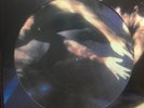 Siouxsie And The Banshees THE SCREAM SEALED PICTURE DISC LP. Sex Pistols Punk