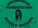 Bunny Wailer - Rise And Shine - Solomonic Production, near mint condition