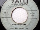 TERRY & THE PIRATES rockabilly 45 WHAT DID HE SAY / TALK ABOUT THIS GIRL   JR131