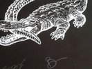 Catfish And The Bottlemen ?The Ride  Exclusive Autographed Signed Poster