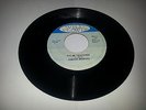WILD FLOWER/FALSE TEACHING - JUNIOR MURVIN [ROOTS REGGAE]  7