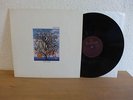 TALK TALK -  SPIRIT OF EDEN 1988 ORIGINAL DUTCH PARLOPHONE LP IN TOP CONDITION