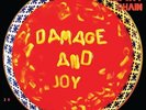 THE JESUS AND MARY CHAIN - DAMAGE AND JOY 2X180GR. 2 VINYL LP NEW