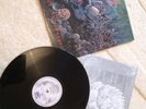 Original 1991 Suffocation, Effigy Of The Forgotten