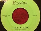 The Marvellos She Told Me Lies / Salty Sam Rare Doo Wop Northern Soul 45 Orig.