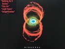 Pearl Jam - Binaural  / 2-Vinyl LP / Original Pressing 2000 / Top Condition